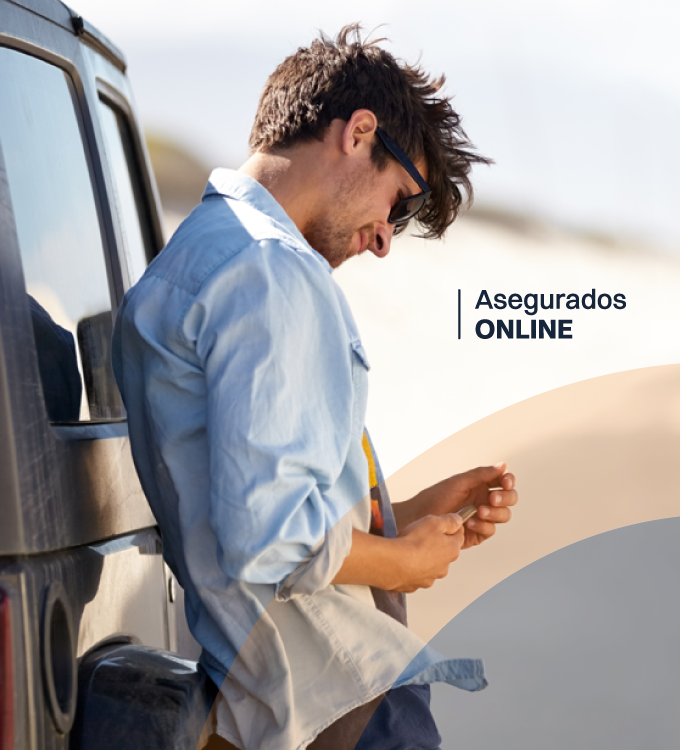 Asegurados Online